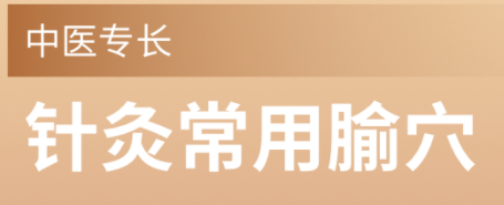 中医专长-针灸常用腧穴